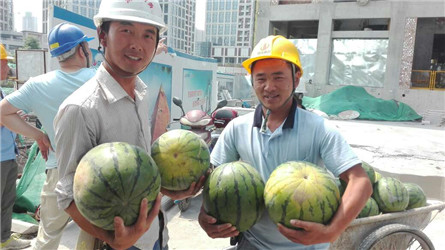 2000余名一線建筑工人領(lǐng)到了降暑“愛(ài)心西瓜”