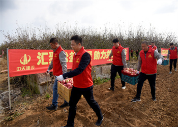 “愛心蘋果，真甜！”