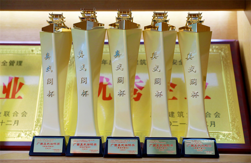 2024年5月9日，中天八建承建的南寧萬科金域國(guó)際一期、柳州萬科城怡璟、匯景花園、大唐碧園西園、崇左碧桂園公園上城項(xiàng)目獲2024年度廣西建設(shè)工程最高質(zhì)量獎(jiǎng)“真武閣杯”獎(jiǎng)。
